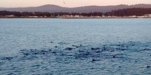 hopin for handouts.jpg hopin for handouts.jpg