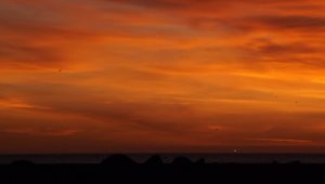 lone fisherman.JPG lone fisherman.JPG