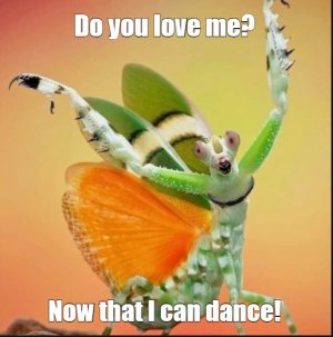 mantis.jpg