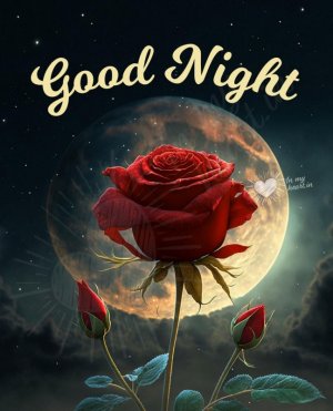 good_night_rose_moon.jpg