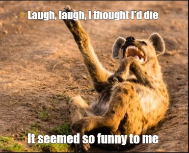hyena.jpg