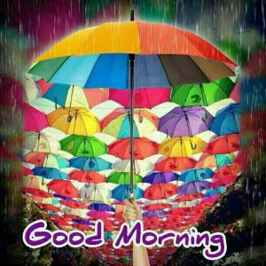-Good-Morning-Quote-For-A-Rainy-Day.jpg