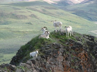 IMG_8883.JPG IMG_8883.JPG