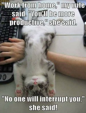 work joke.jpg