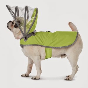 Dog weather gear.jpg