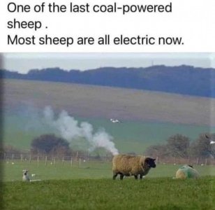 IMG_6734.jpeg