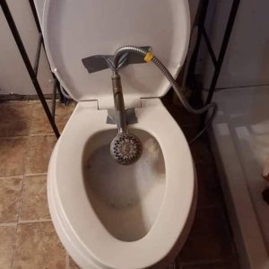 Toilet accessory.jpg