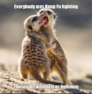 mk1.jpg