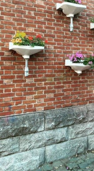 Sink planters.jpg