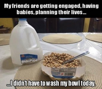 No wash bowl.jpg