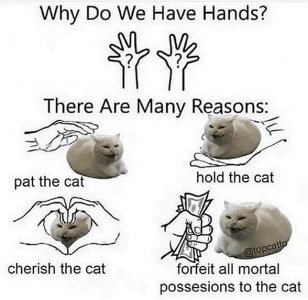 whyhavehands.jpg