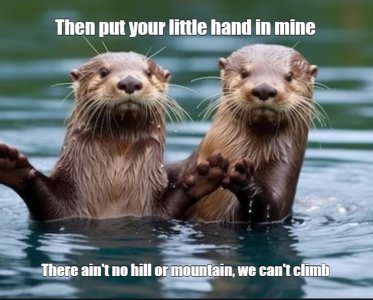 otter.jpg