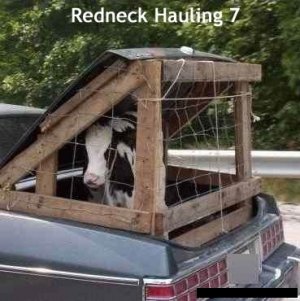 Redneck hauling.jpg
