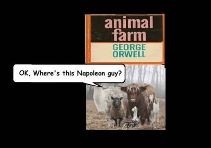 animal farm.jpg