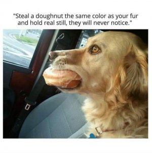 IMG_6757.jpeg