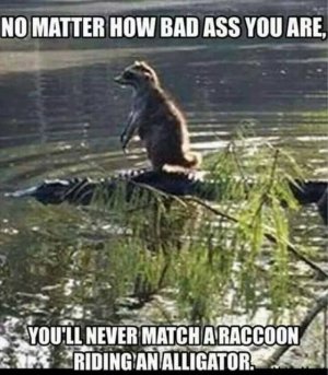 b6a8ca82fad964f9cbcf391d271f5a5a.jpg