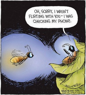 checkingphone.jpg