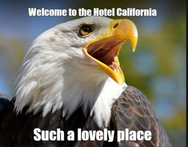 eagle.jpg