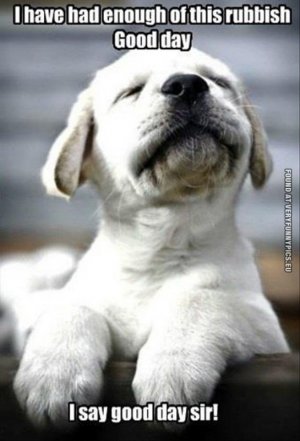 funny-picture-good-day-dog.jpg