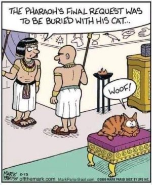 pharoah joke.jpg