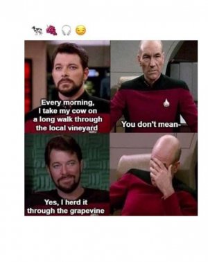 1709998409336.jpeg