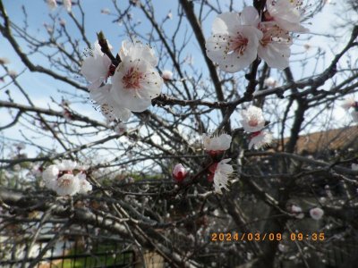 IMGP2594.JPG