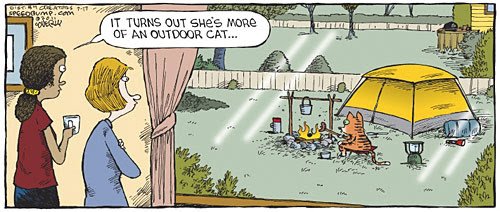 outdoorcat.jpg
