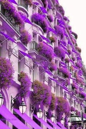 tumblr_bb67001c49b0ec4ae168cb79b8a2e75c_aa67a90c_540.jpg