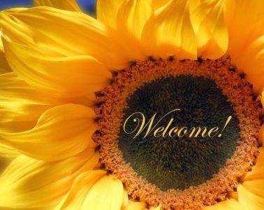 welcome sunflower.jpg