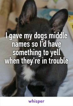 7209f0023b7fb2d5c5702d3399bc6be9.jpg