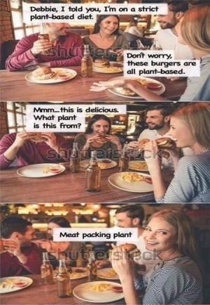IMG_6809.jpeg