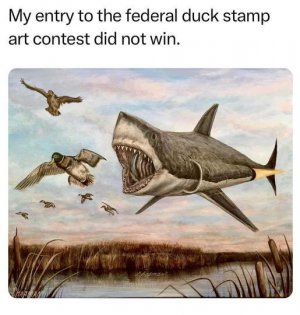 4.jpeg
