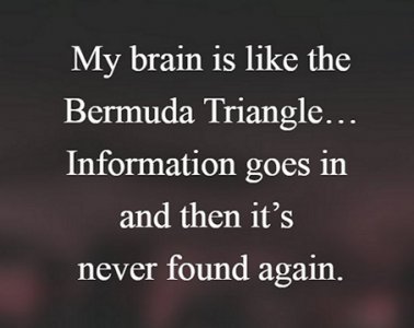 mybrain.jpg
