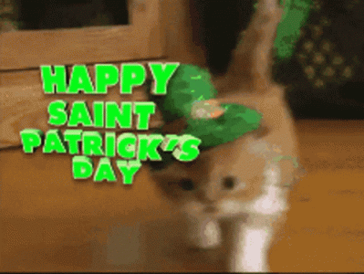 happy-saint-patricks-day-cat.gif