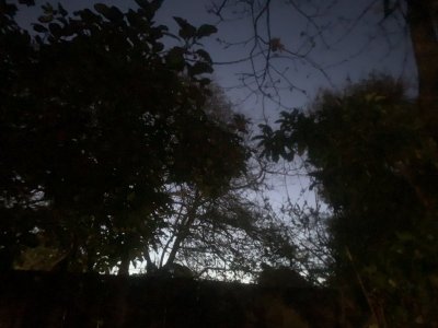 1710167121434.jpeg