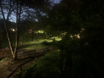 1710167205233.jpeg