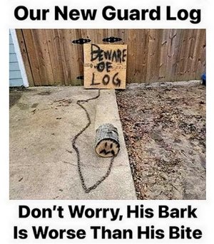 guardlog.jpg