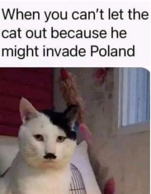 gghjhjjj.JPG