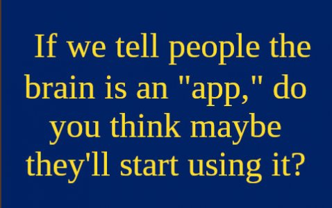 app.jpg