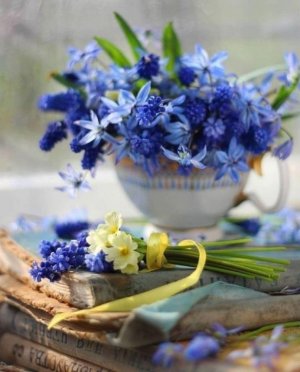 tumblr_ce3be83f095b6a571458c336168a26ce_e0b2b1ee_1280.jpg