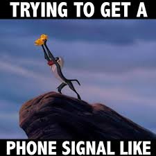 cellsignal.jpg