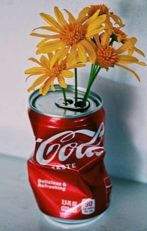 tumblr_313a29c0fdd6023f1716c2270df78948_58df9540_1280.jpg