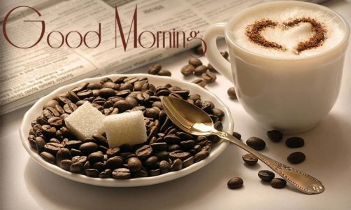 morning-coffee-pictures-si8611v1u71qfmk9.jpg