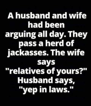 FB_IMG_1710372882532.jpg