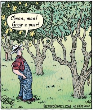 growapear.jpg