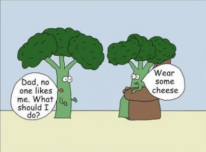 wearcheese.jpg
