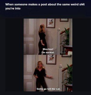 Screenshot at 2024-03-14 14-29-16.jpg