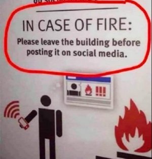 FB_IMG_1710453162241.jpg