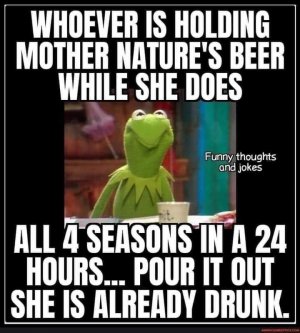 FB_IMG_1710452724274.jpg