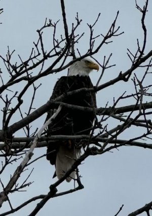 IMG_5690.jpeg